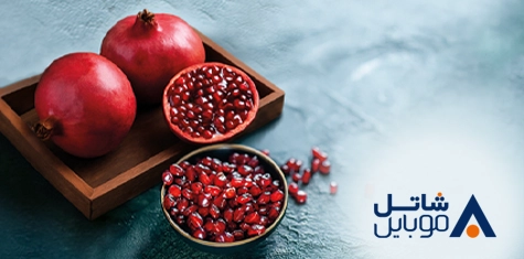 یلدا شاتل موبایل